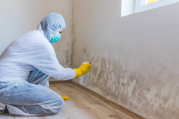 Crawl Space Mold Remediation treatment of floor joists in Smithmill